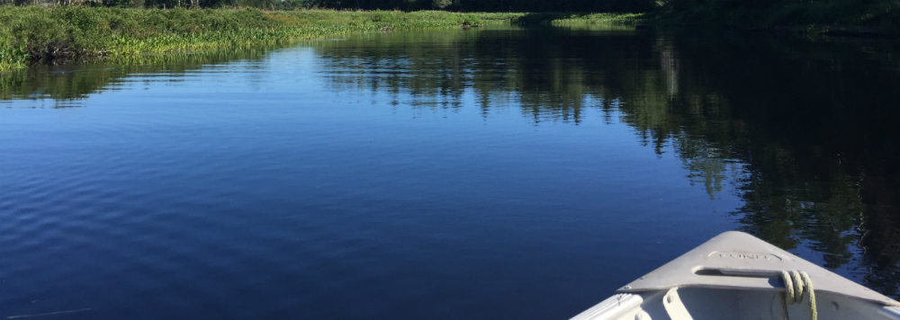 Fishing for Finds on Rocky Lake WashCo ME 2017